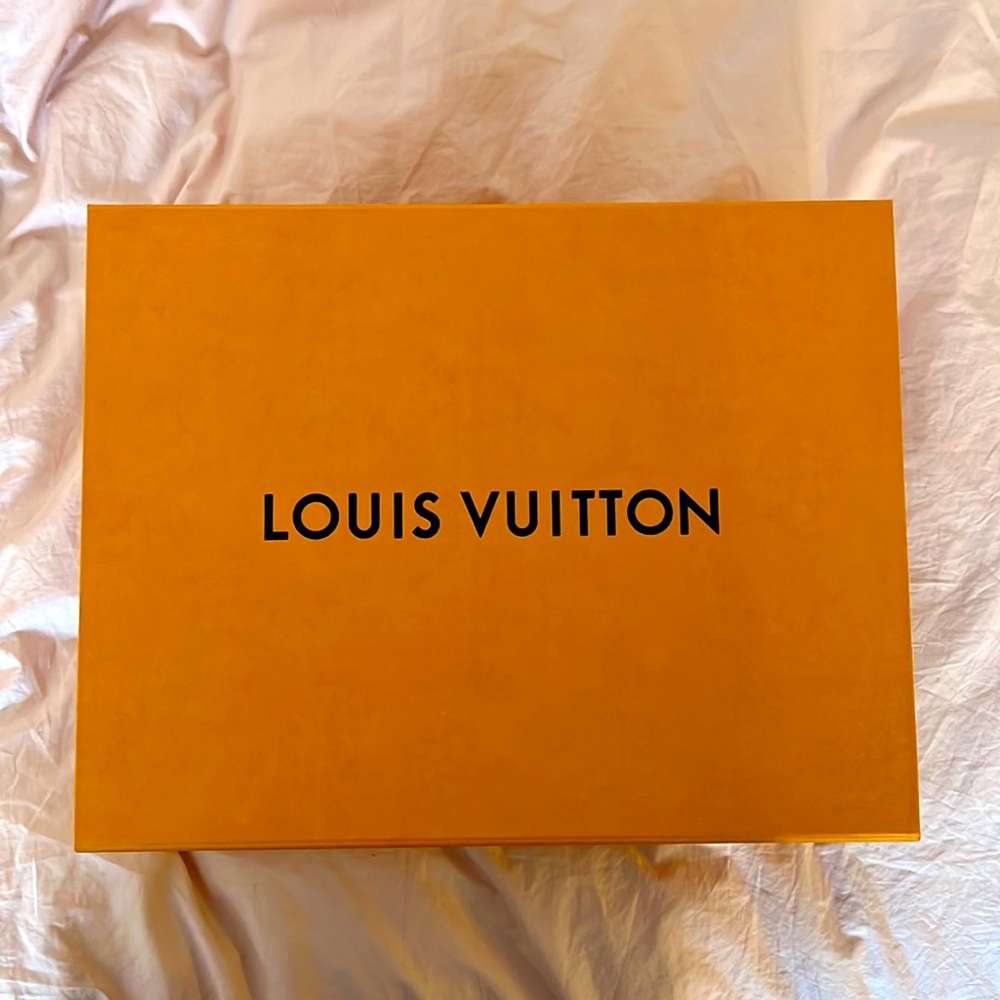 Louis Vuitton Big Shoe Box (for boots)
